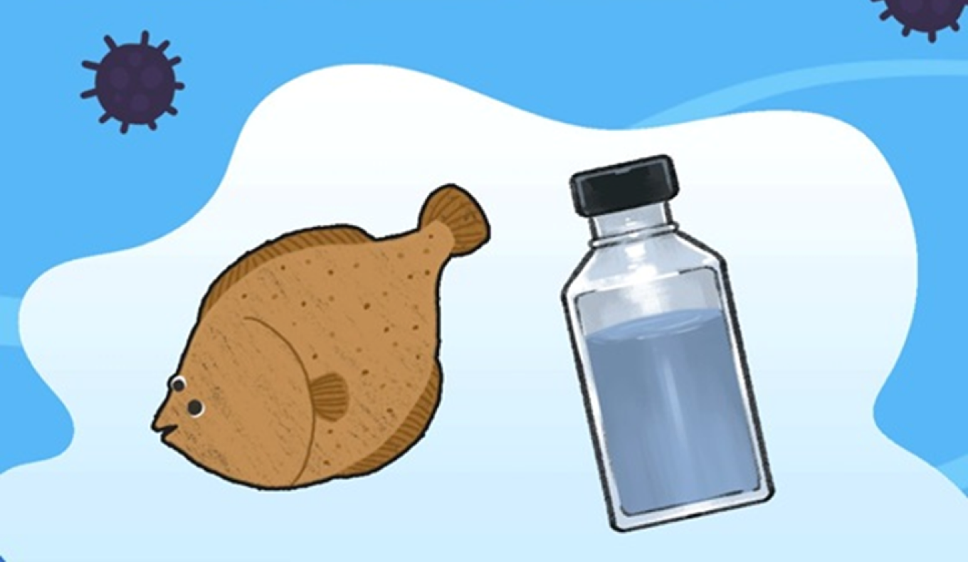 우리집 넙치의 피부에 이상한 무늬가 생겼습니다.